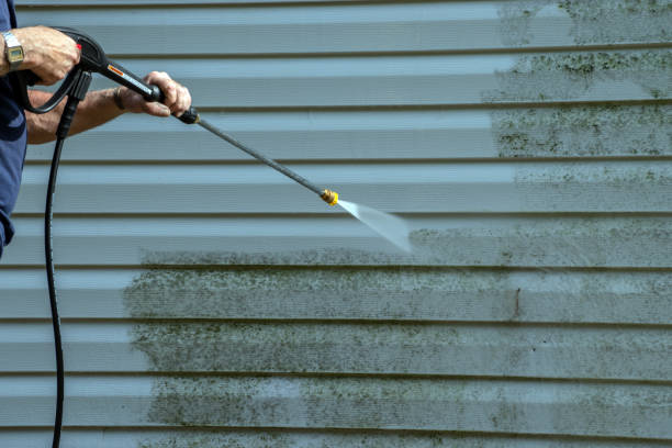 Best Sidewalk and Walkway Cleaning  in Anchor Point, AK
